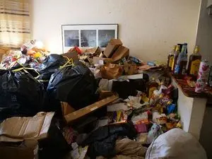 Les Débarrasseurs de l'Extrême - Saint-Étienne - Entreprise de débarras et nettoyage. Spécialiste Diogène