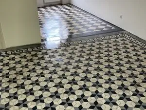 Ds Clean’nett