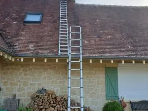 NUISIBLES INTERVENTION
