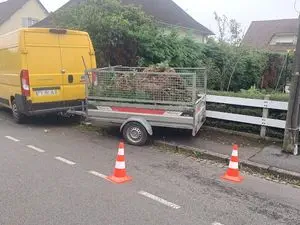 DomSyl Services
