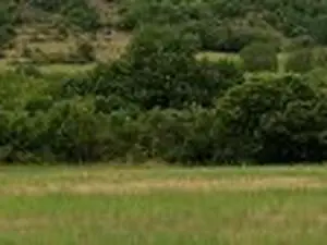Déchèterie de la Communauté de Communes Larzac Vallées