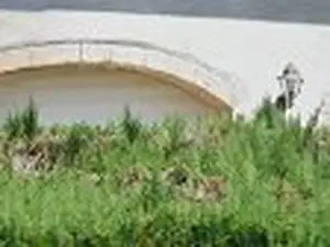 Carrosserie Duchanoy
