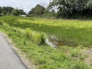 Déchèterie de Luc-sur-Mer