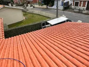 Aquitaine X Termite A Tort - Agence en Gironde