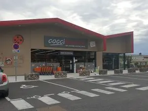 CocciMarket