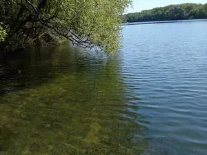Plan d'eau de la Mine d'Abbaretz