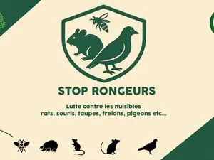 Stop Rongeurs