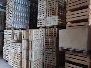 Fabre Recyclage