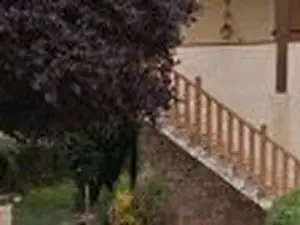Soc Vabraise Travaux Forestiers