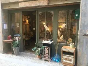 sauveurs de rêves