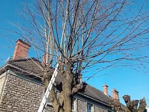 WB ELAGAGE / ELAGUEUR JARDINIER PAYSAGISTE TROYES LA RIVIÈRE DE CORPS