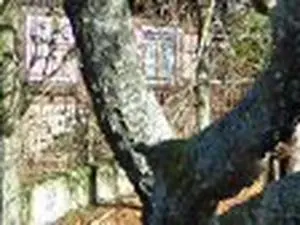 Trièves multi services