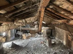 Sos nuisibles Isère multi-services