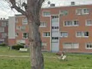 lsdebarras