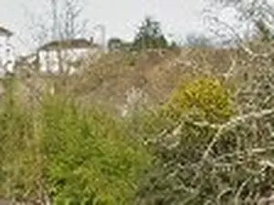 Rucher - Roches Premarie Andille
