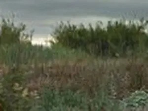 Eco-site de Llupia