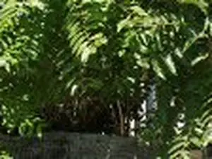 Débarras MB