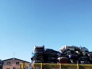 Auto Destruction