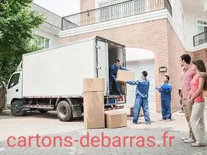 Cartons-debarras.fr