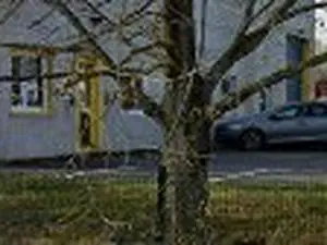 Carrard Services SAS