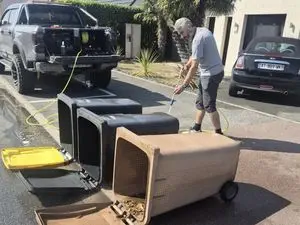 🇨🇵 Nettoyage terrasse / façade / poubelle et travaux de jardinage par ProxClean