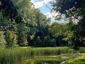 Parc des Cèdres