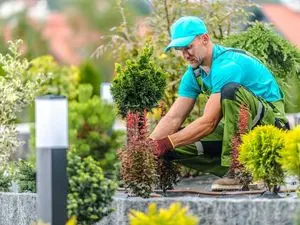 Jardiniers SAP St Nicolas De La Grave