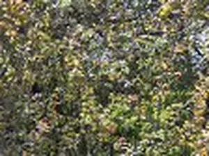Déchetterie de Fère Champenoise