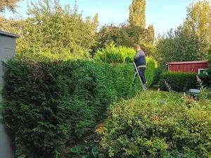 Espace vert tout service ( élagage abattage taille de haie)