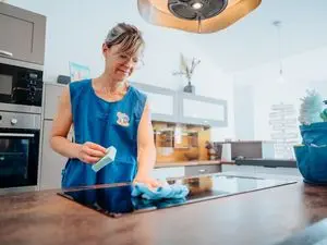 Maison et Services Aizenay | Ménage, repassage, jardinage, nettoyage de vitres