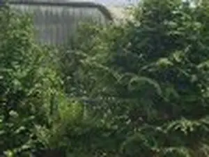 AUREADE - Centre de transfert - Veolia