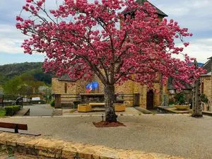 Saint-Hilaire-Peyroux