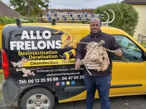 ALLO FRELONS HYGIENE ANTI NUISIBLES