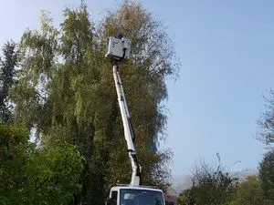 SOS GUEPES 60 & SERVICES 3D
