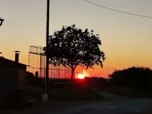 Terre-de-Bancalié
