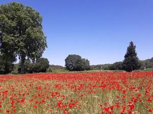 POINT PROPRETÉ DE MONTFERRIER-SUR-LEZ