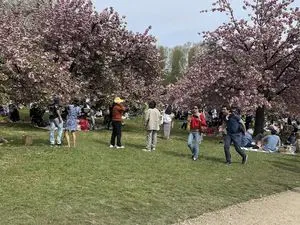 REVIVAL - Derichebourg Environnement