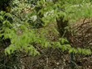 Montage et réparation de pneus
