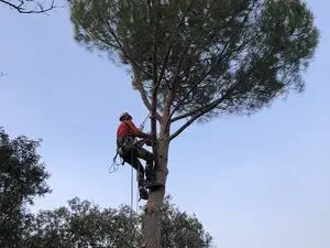 ANTOINE PROVENCE ELAGAGE