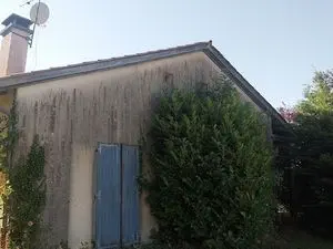 Aj renovation