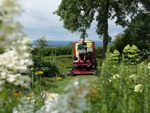 Jardinage Services | Agence de Vire