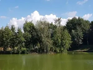 Etang Municipal d'Hornaing
