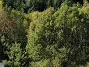 Déchèterie Trifyl de La Salvetat sur Agout