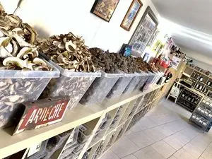 LE PLATEAU ARDÉCHOIS
