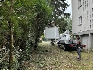 R élagage 24 /elagueur grimpeur/paysagiste/jardinier