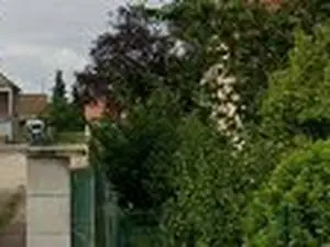 DIRECTE DEBARRAS