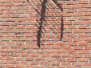 Dewez Recyclage 08