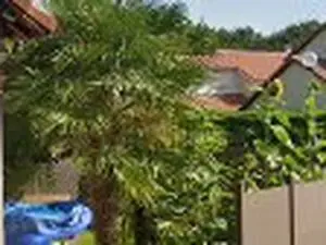 Pabegailo Di Pierro Marina