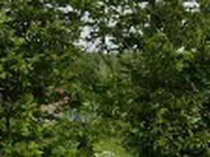 Eco-centre (déchèterie) de Moigny/Ecole - réseau Siredom