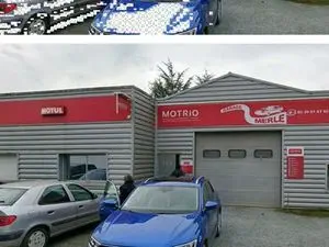 Merle - Motrio